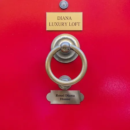 Diana Luxury Loft Rom