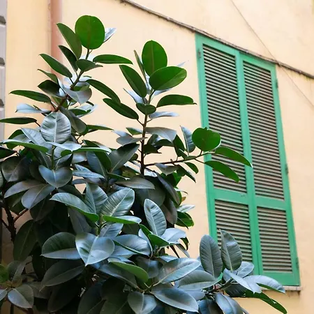 Sunny Apartment *