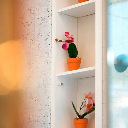 Appartement Miani *