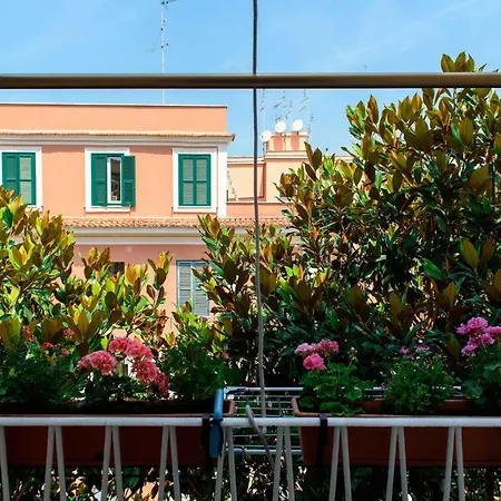Apartment Miani