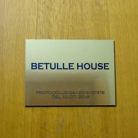 Betulle's House Apartment Rome