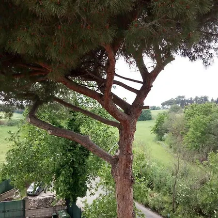 Affittacamere Casa Da Anna