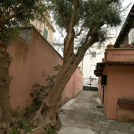 Vaticanhouse *