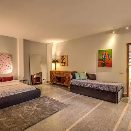 Trastevere Hyperloft & Garden Apartment Rome