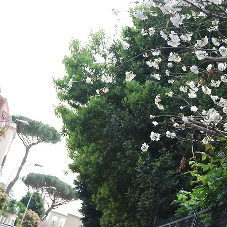 Casalalla Apartment Rome