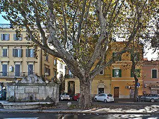 Gloria'S House In Rome Rome