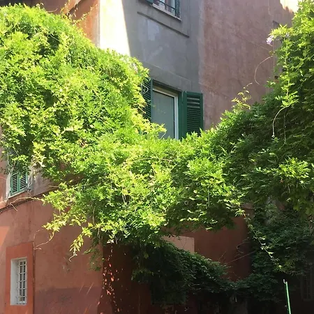 Livinginrome Trastevere - Vicolo Del Piede