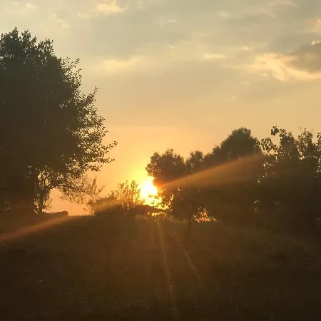 La Dei Sogni Nel Parco * Rome