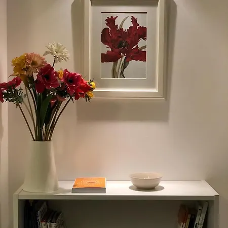 Great Apartment