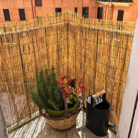 Cozy * Roma