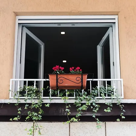 Ziani Vatican Boutique Guest house