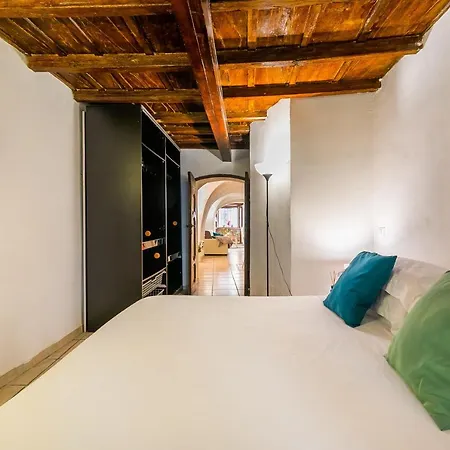 Moro 50 - Loft In Trastevere