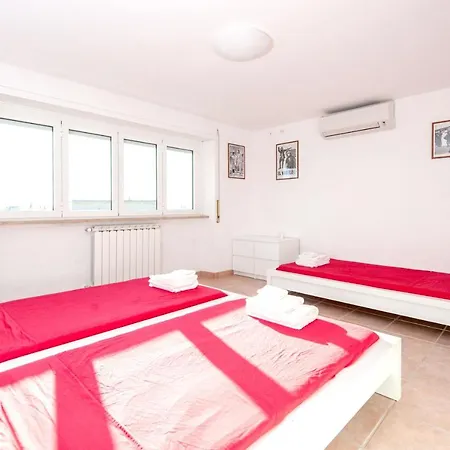 Via Cesare Algranati Apartment Rome