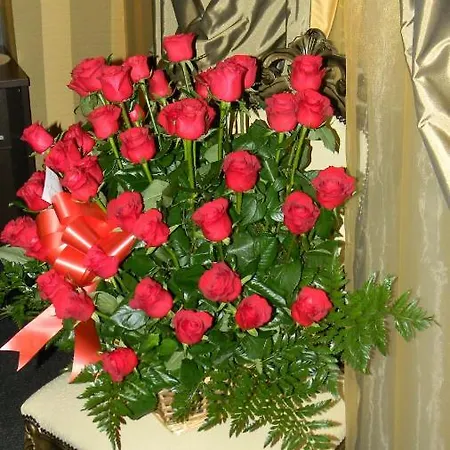 Domus Romantica 3* Řím
