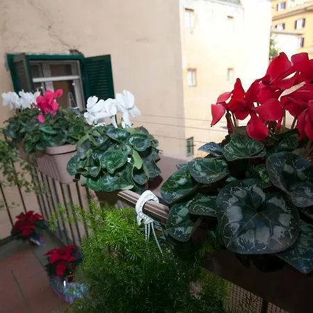 Apartamento Magenta Luxury Purificazione Roma