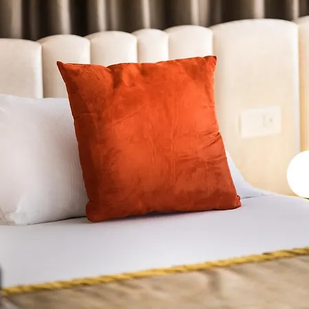 Zaccardi 4* Roma
