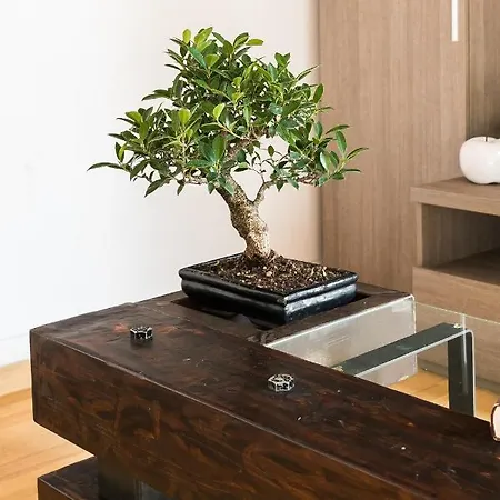 Apartmán House Borgo Pio 195