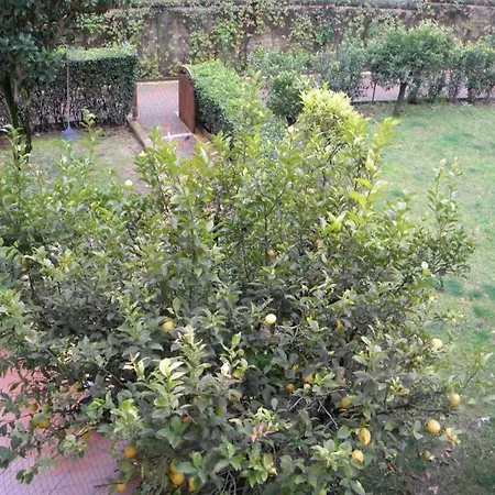 Colonna Luxury - Amazing Villa *