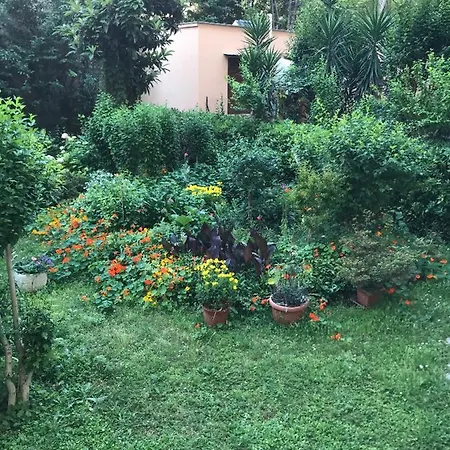 Cris - Close To Vatican - Centre&stadiumarea Apartment