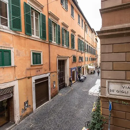 Orange Roma