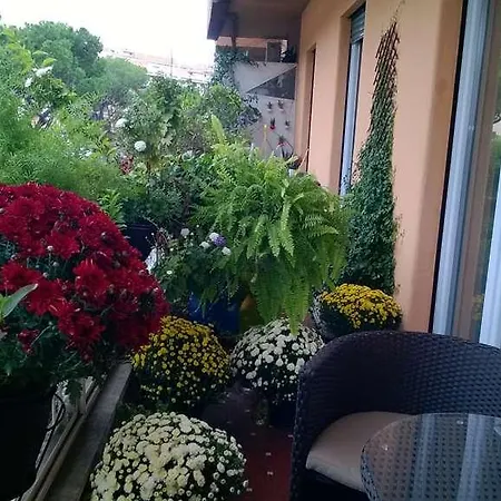 Guest house Gregorio Vii Luxury 2*