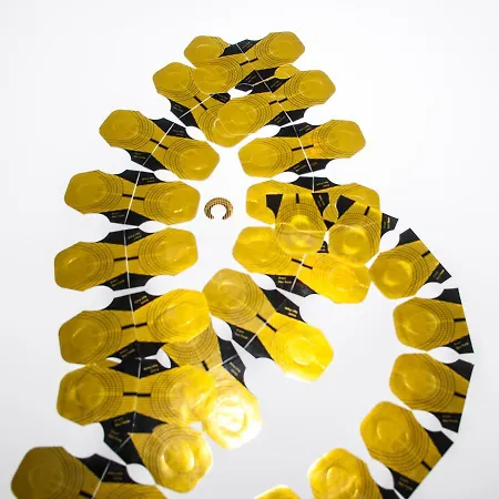 G-rough, Rome, A Member Of Design Vendégház