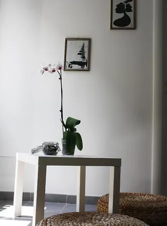 Bed & Breakfast Salotto Piramide Rome