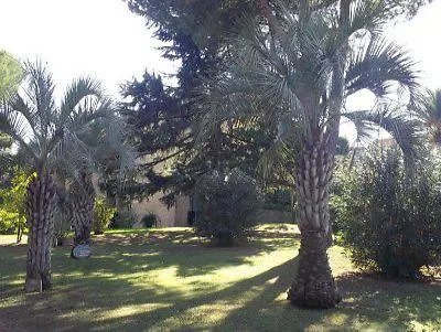 Tabor 3*
