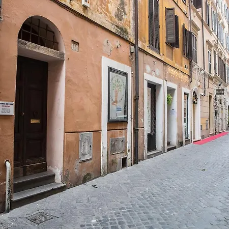 Collection Spanish Steps - Collection