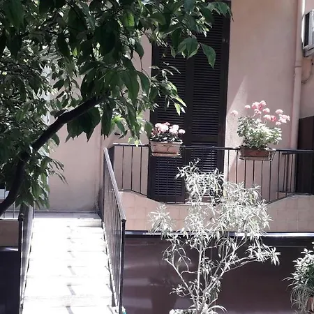 Gioia 2*