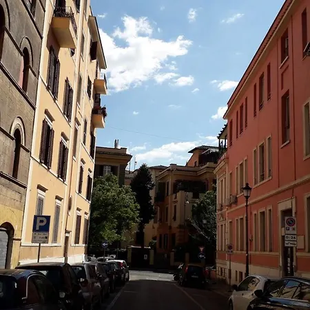 Gioia 2*