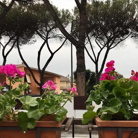 Aquarius * Rome