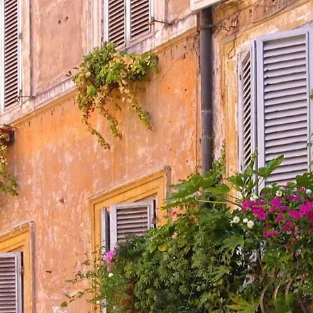 Royal Corso Guest house