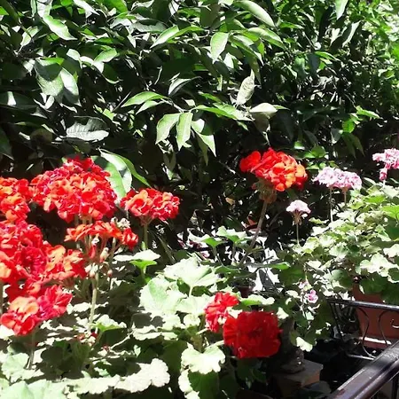 Gioia 2* Rome