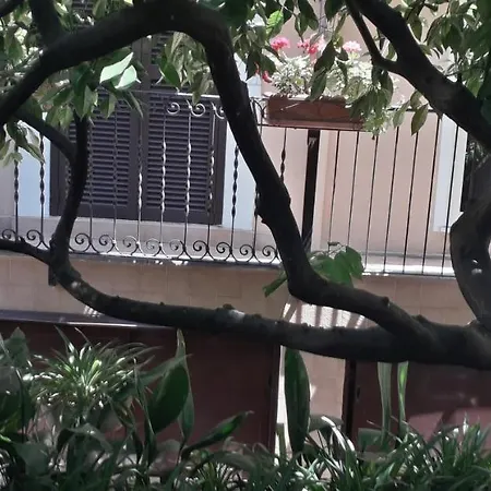 Guest house Gioia 2*