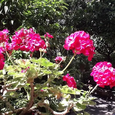 Gioia Guest house 2*