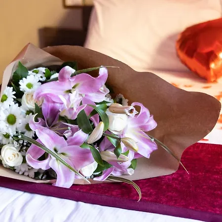Guest house Cleopatra 3*