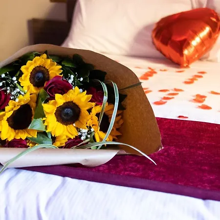 Cleopatra Guest house 3*