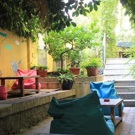 The Beehive Roma