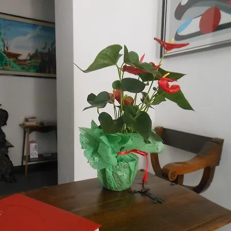 Guest house Residenza Il Magnifico Rome