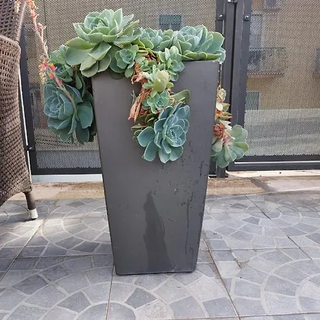 Vic Pigneto, Luxury House Terrace Řím