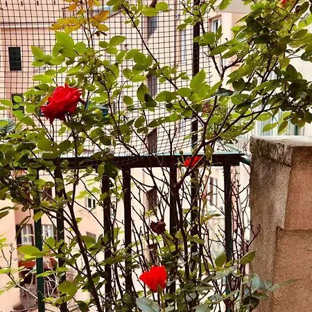 Un Piacevole Turistico Apartment