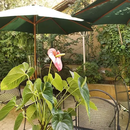 Hotel Delle Rose Roma