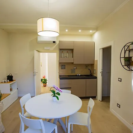 Colosseum Maison 招待所 *
