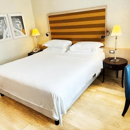 Sheraton Parco De Medici Hotel Rome