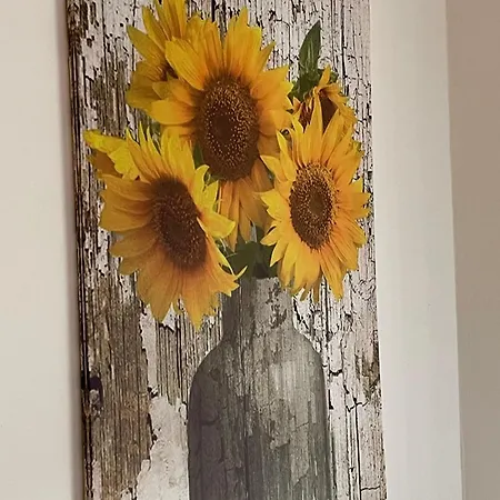 Apartament Casa Girasole *