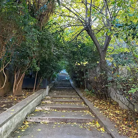 The Vatican Jungle Loft Con Giardino Vicino Al Vaticano Apartment *