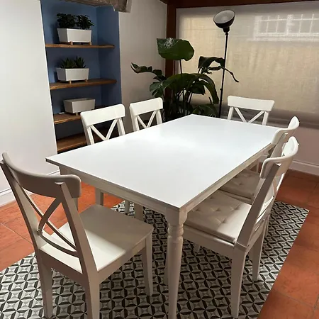 The Vatican Jungle Loft Con Giardino Vicino Al Vaticano Apartment Rome