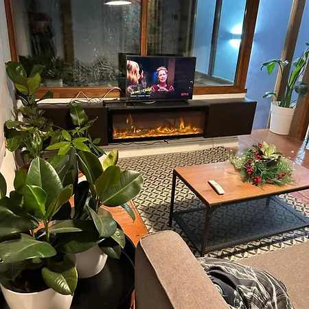 The Vatican Jungle Loft Con Giardino Vicino Al Vaticano * Rome
