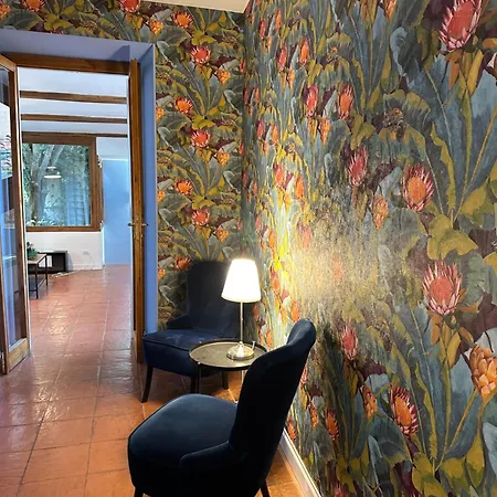 Apartment The Vatican Jungle Loft Con Giardino Vicino Al Vaticano *